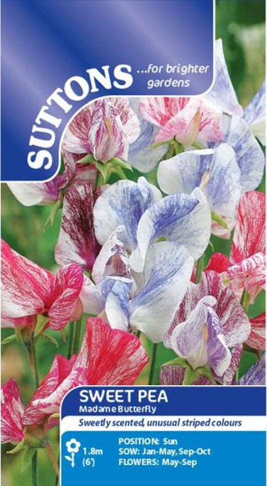 Sweet Pea Seeds - Cupani