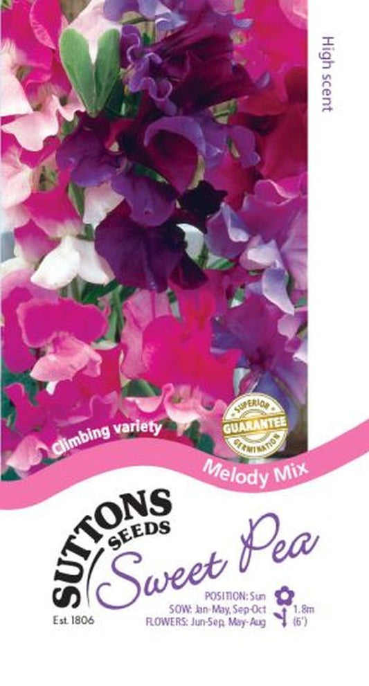 Sweet Pea Melody Mix