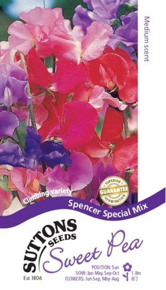 Sweet Pea Spencer Special Mix