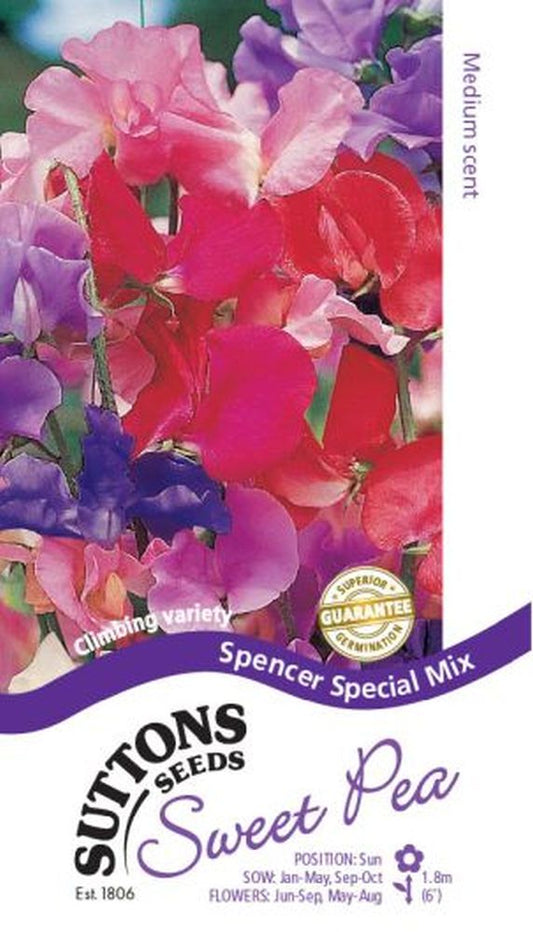 Sweet Pea Spencer Special Mix