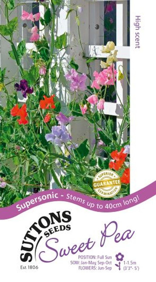 Sweet Pea Seeds - Supersonic