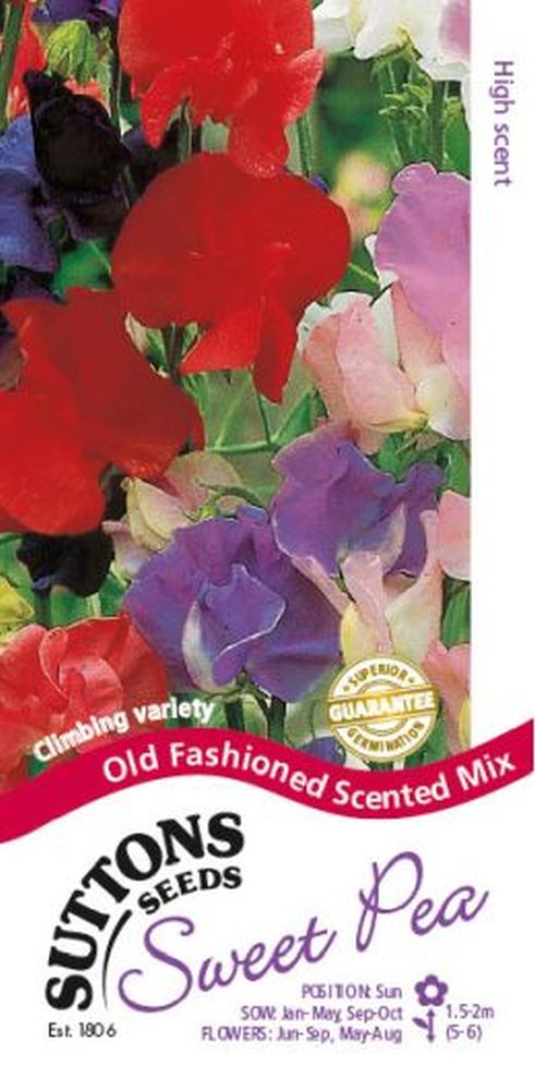 Sweet Pea Seeds - Old Fashioned Scented