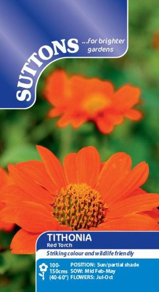 Tithonia Red Torch