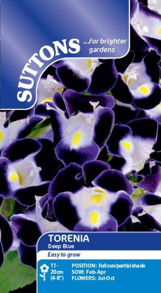 Torenia Deep Blue