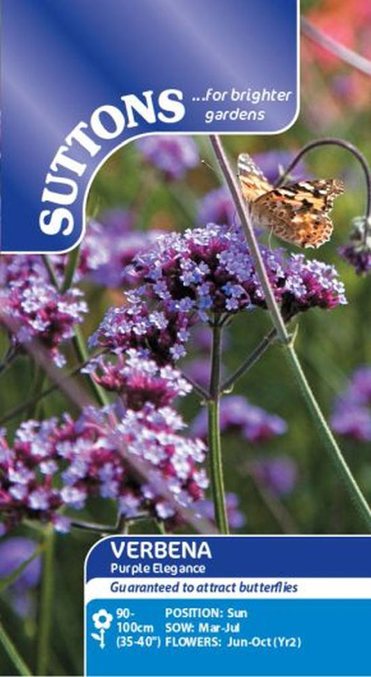 Verbena Bonariensis Seeds - Purple Elega