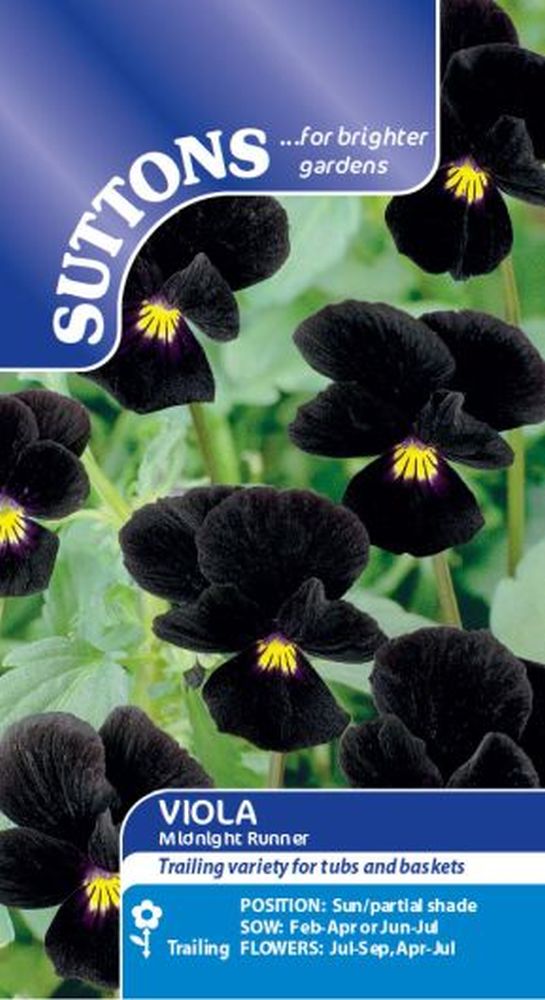 Viola Midnight Runner
