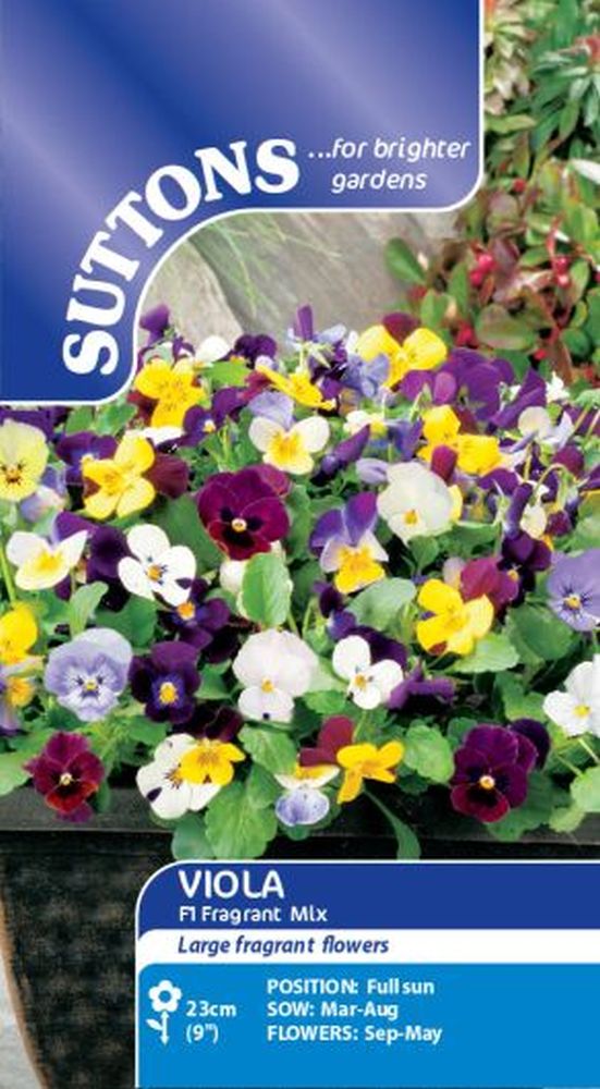 Viola F1 Fragrant Mix