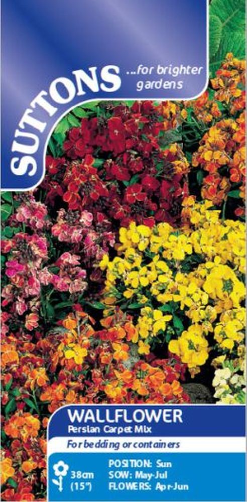 Wallflower Persian Carpet