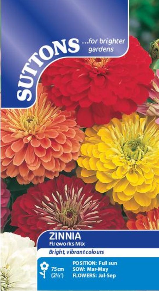 Zinnia Fireworks Mix
