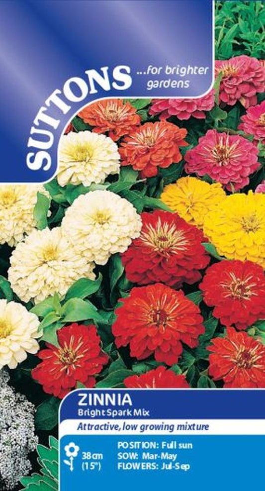 Zinnia Bright Spark Mix