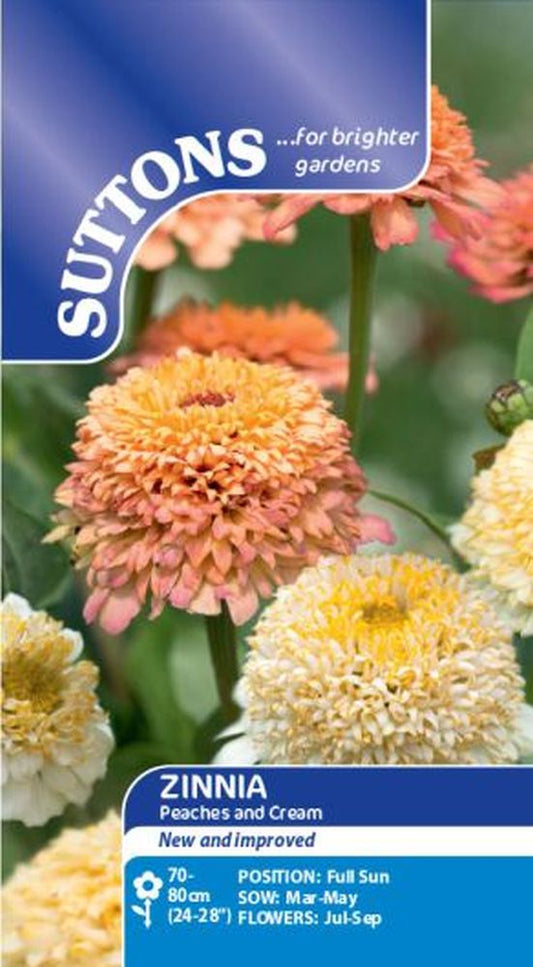Zinnia seeds - Peaches & Cream