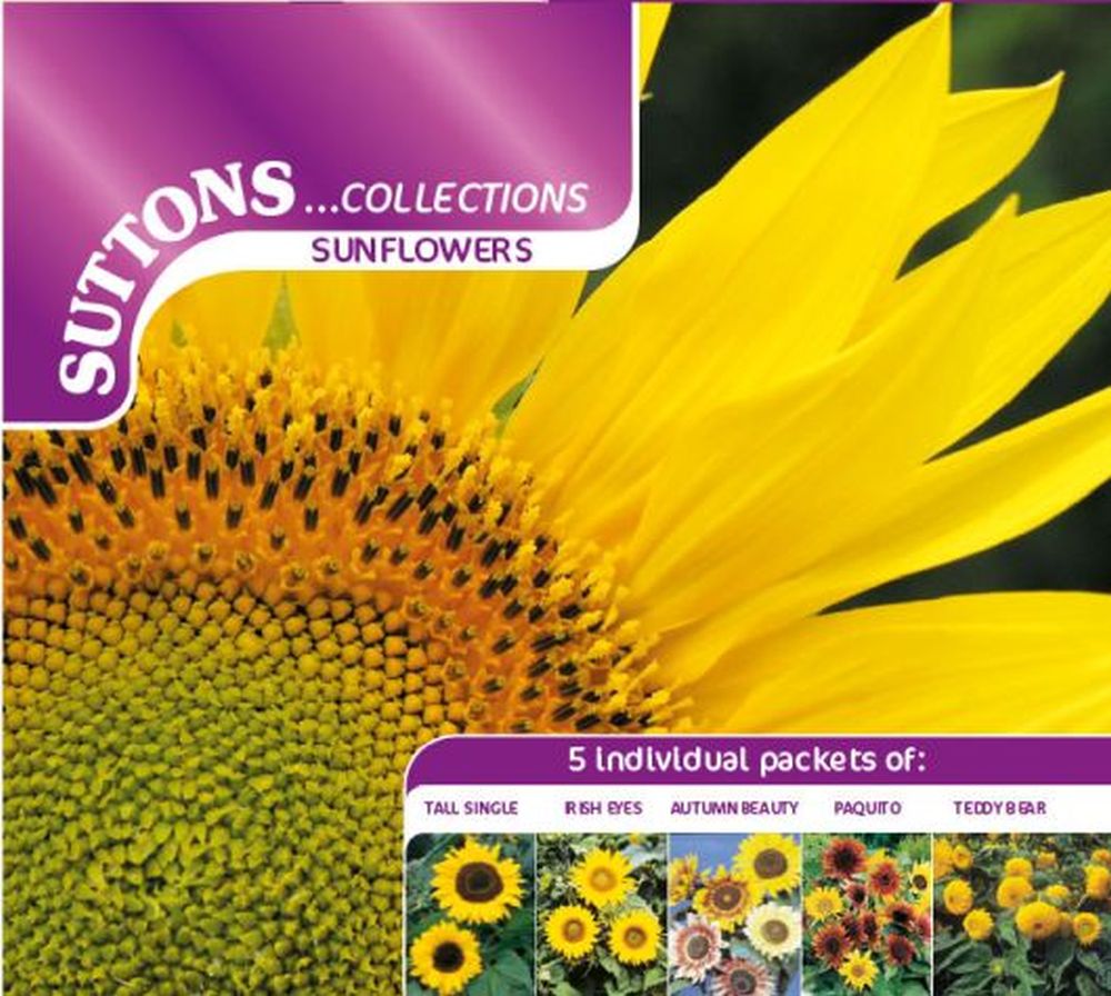 Sunflower Seeds - Collection