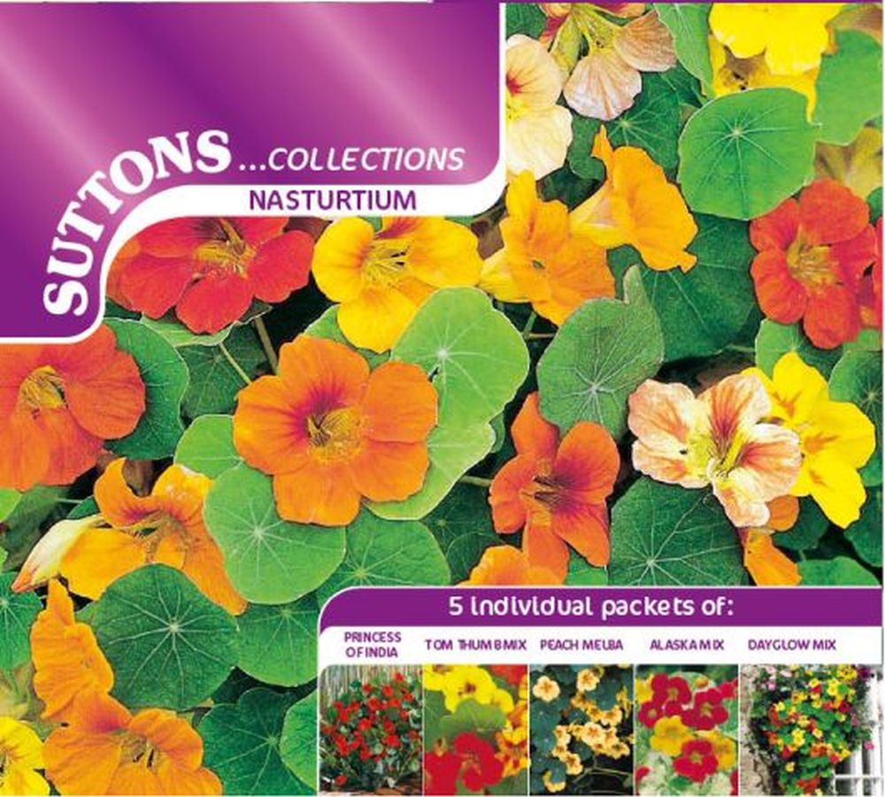 Nasturtium Seeds - Collection