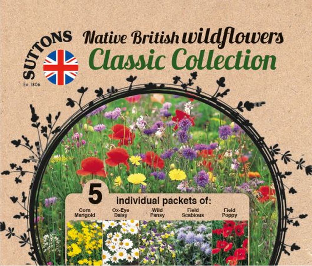 Wildflower Collection