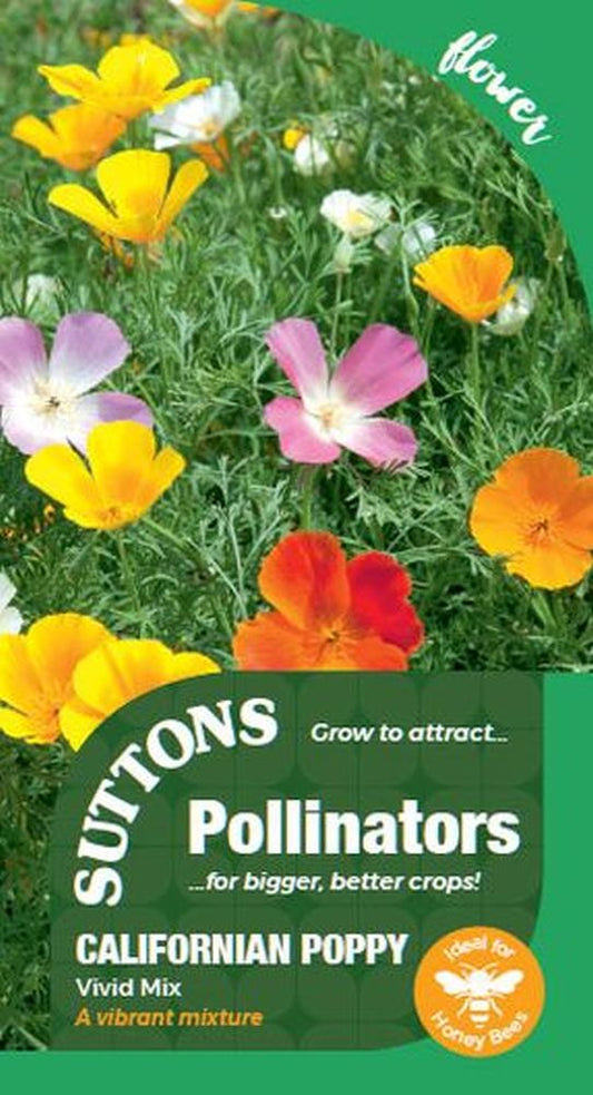 P & P - Californian Poppy Vivid Mix