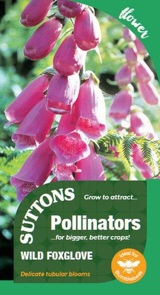 P & P - Wild Foxglove