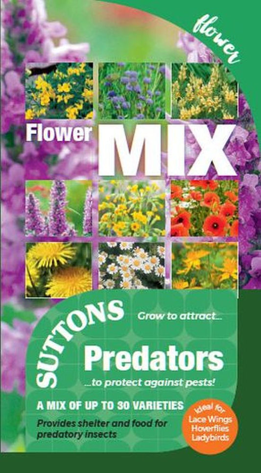 Pollinators And Predators Seeds - Predat