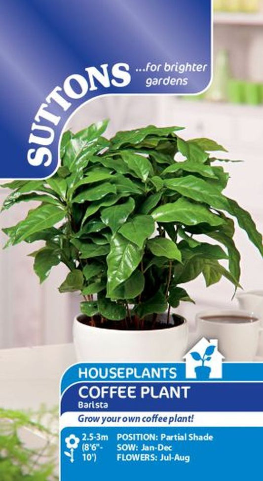Houseplant Seeds - Barista