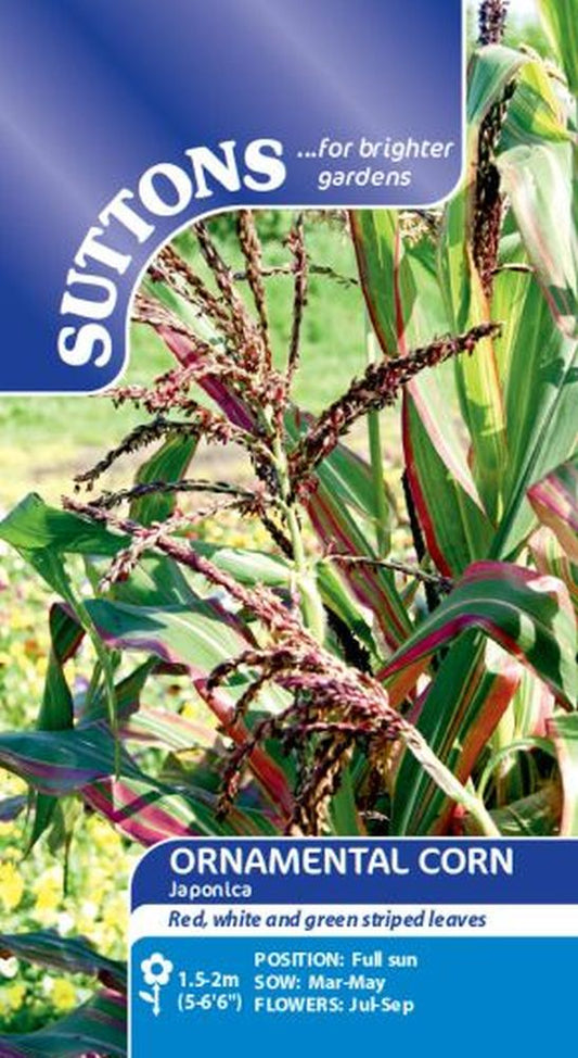 Prairie Seeds - Ornamental Corn Japonica