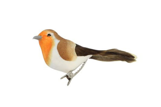 PM Robin on Clip Dec