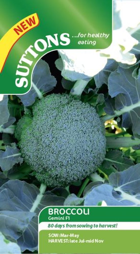 Broccoli'Gemini F1'