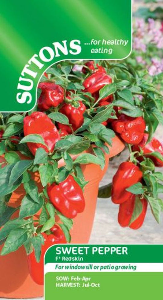 Sweet Pepper Redskin F1
