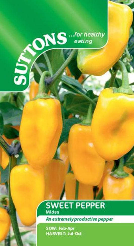 Sweet Pepper Midas