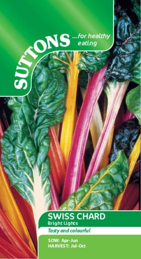 Swiss Chard Bright Lights
