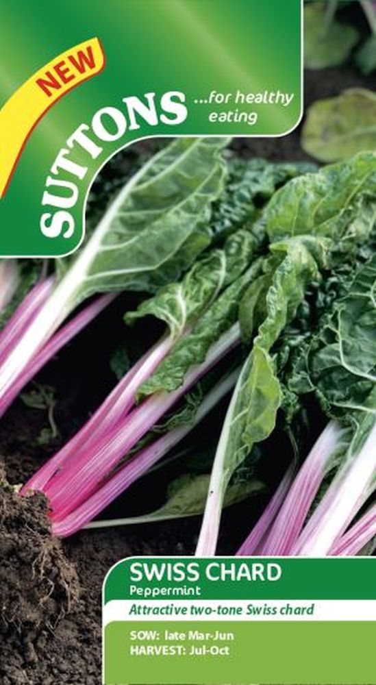 Chard 'Peppermint'