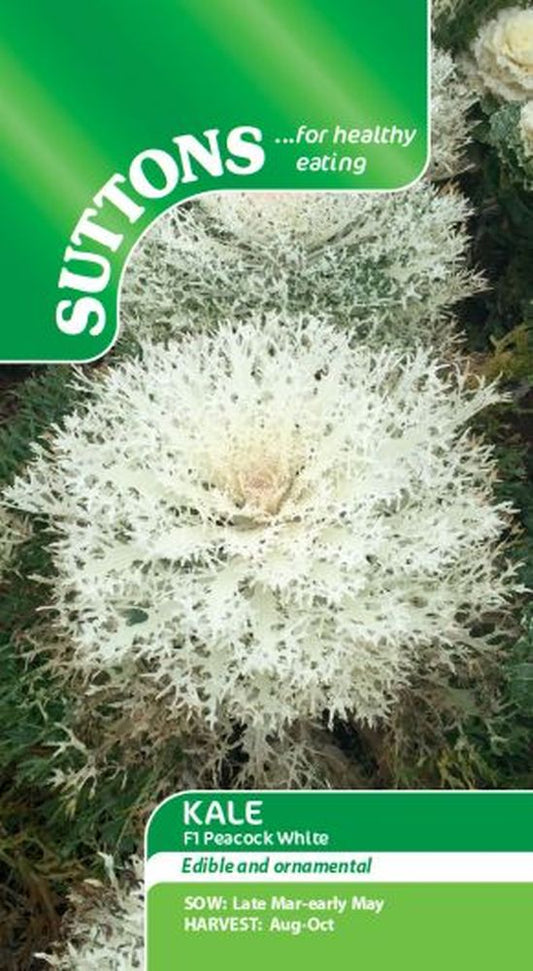 Kale F1 Peacock White
