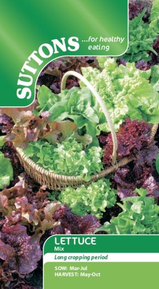 Lettuce Mixed - Iceberg/Cos/Butterhead