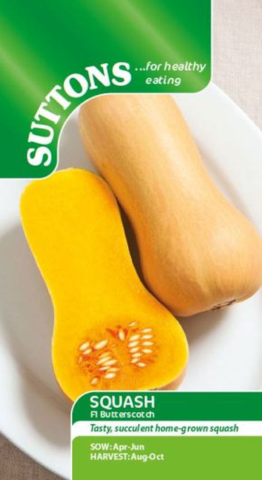 Squash F1 Butterscotch