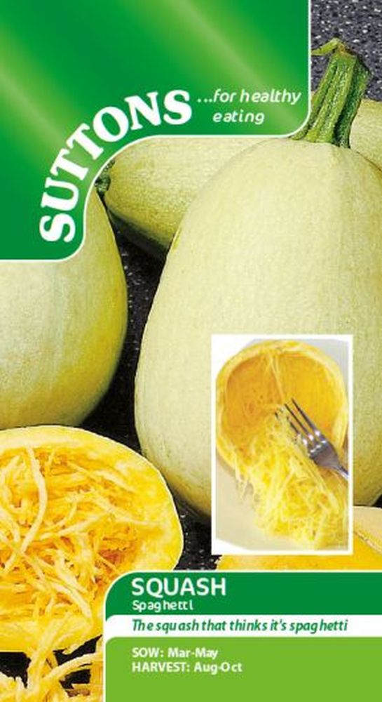 Squash Vegetable Spaghetti