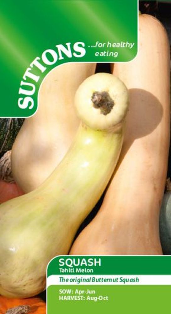 Squash - Tahiti Melon