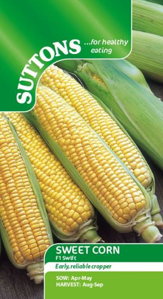 Sweet Corn Swift F1