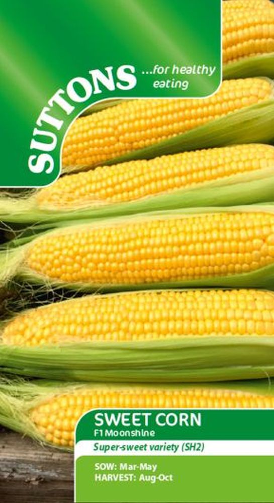 Sweet Corn  - Moonshine F1