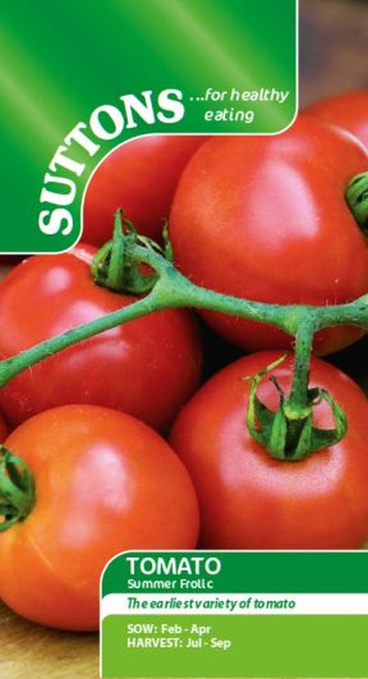 Tomato Summer Frolic
