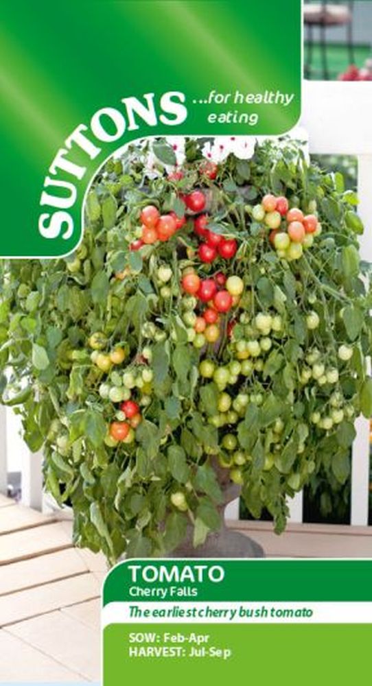 Tomato Cherry Falls