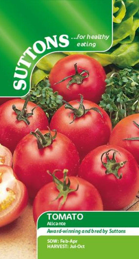 Tomato Alicante