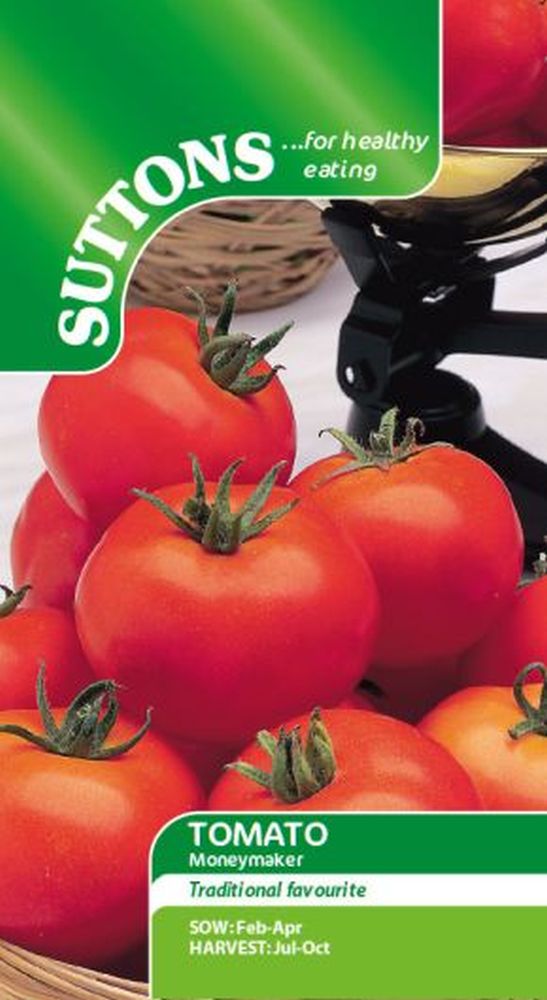 Tomato Moneymaker