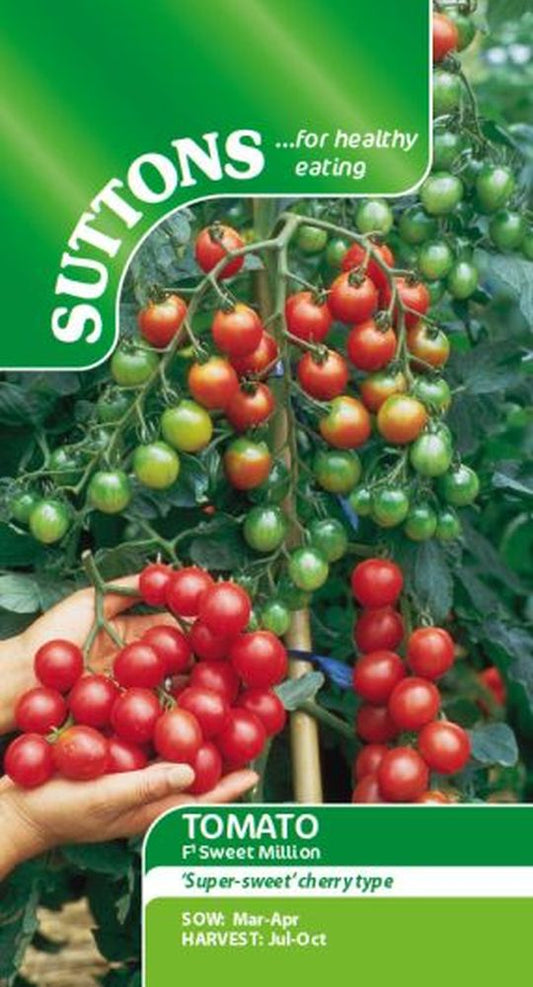 Tomato F1 Sweet Million