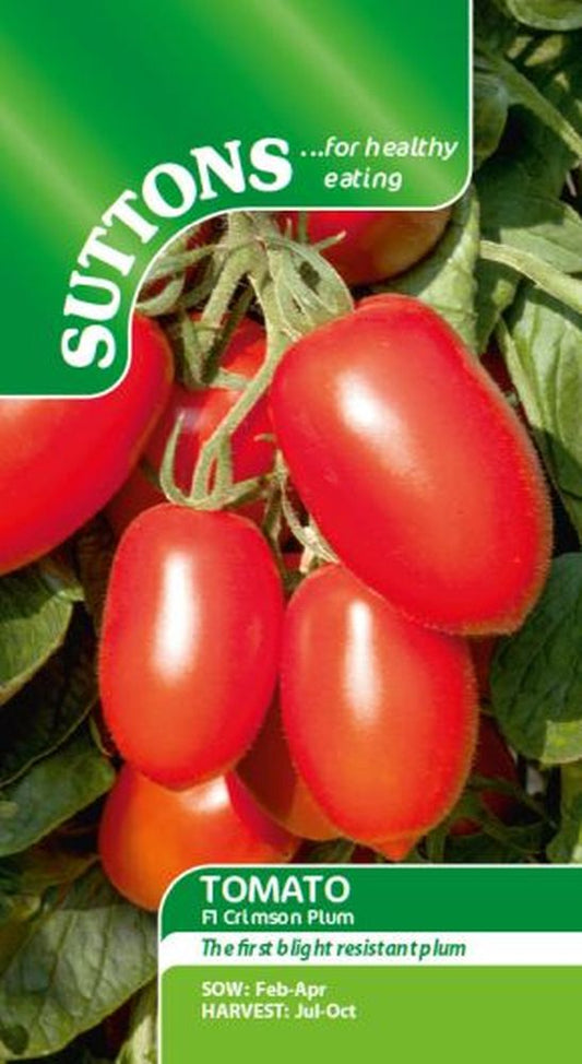 TOMATO 'CRIMSON PLUM' F1