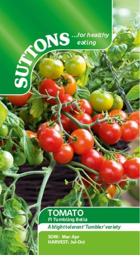 Tomato F1 Tumbling Bella