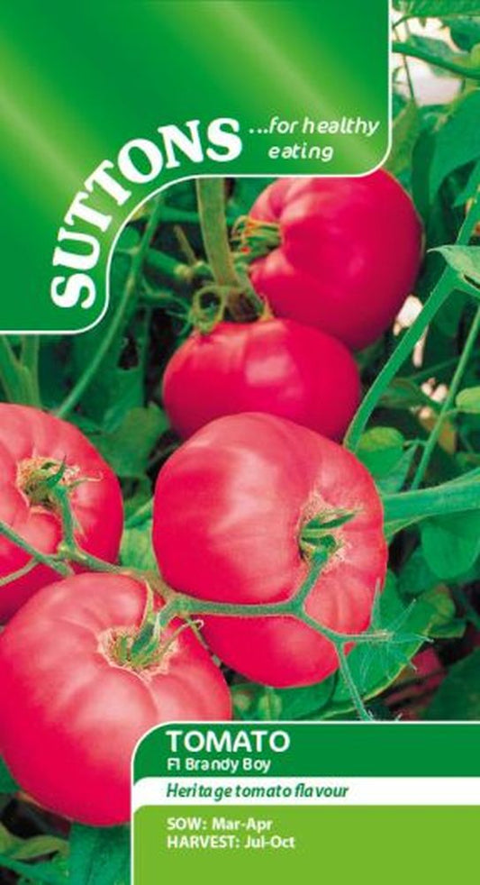 Tomato Brandy Boy F1