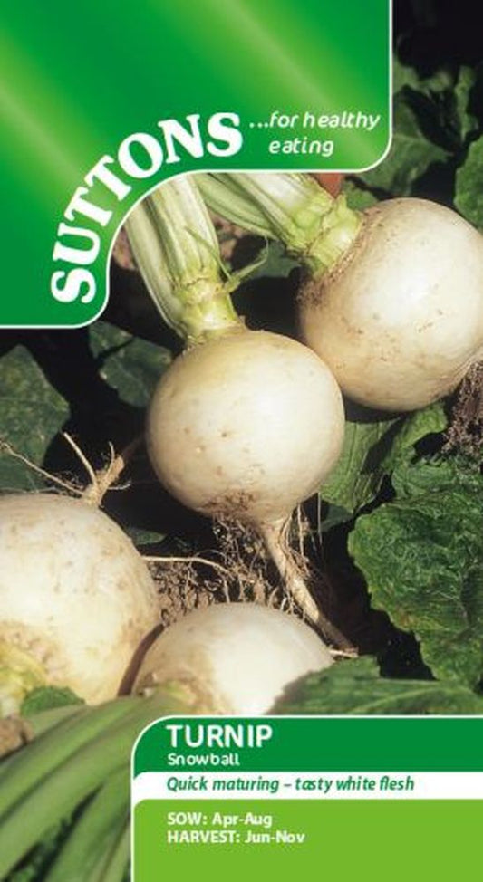 Turnip Snowball