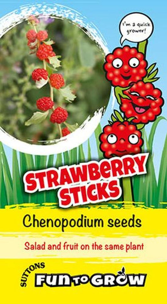 Fun To Grow Strawberry Sticks*