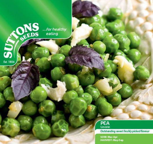 Pea Lincoln
