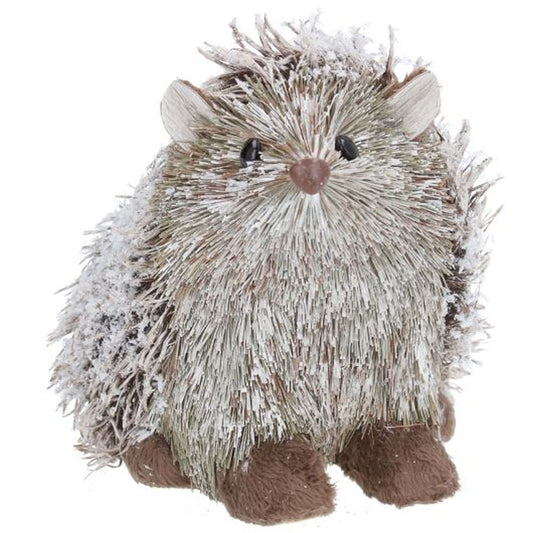 Snowy Bristle Hedgehog Orn, Lge