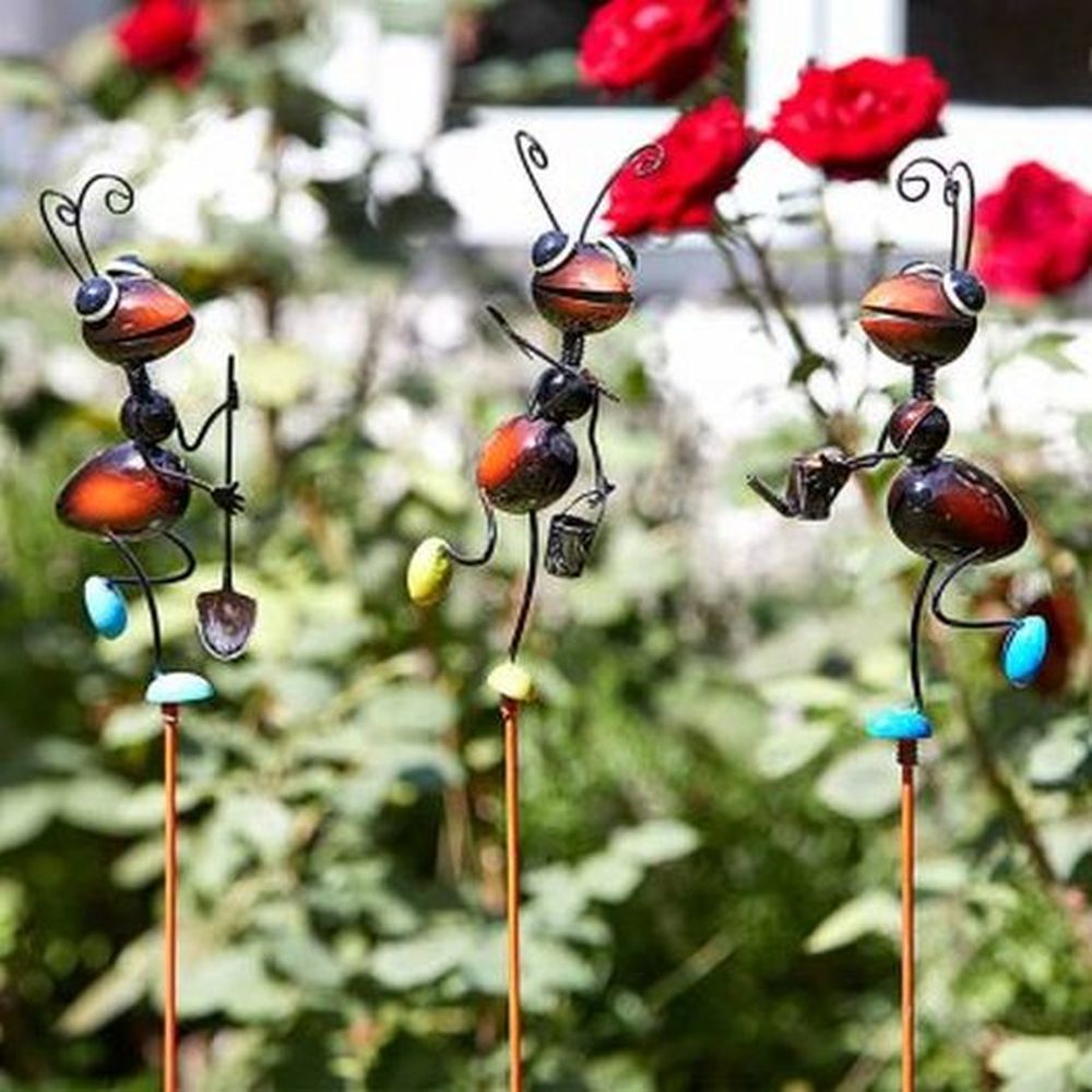 Ants