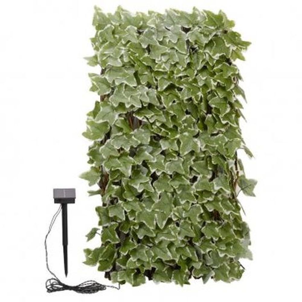 Solar In-Lit Ivy Trellis 75 LED
